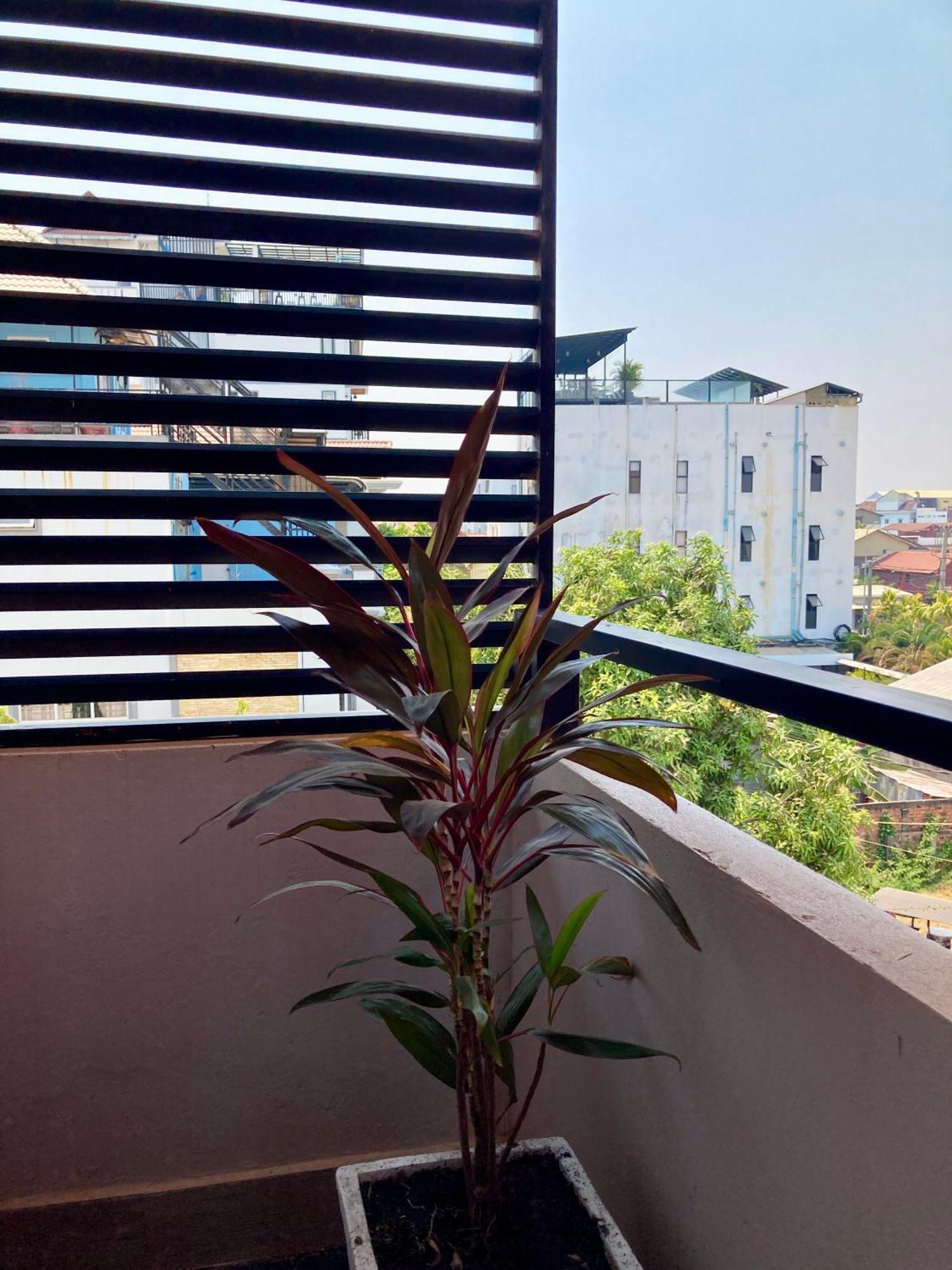 Lotus Haven Villa Siem Reap Exterior foto